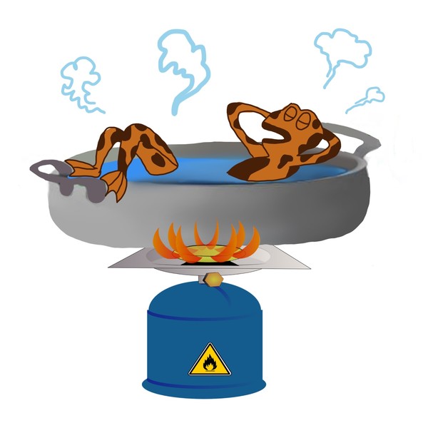   뜨거운 물에 개구리를 넣으면 바로 튀어 나온다. 그러나 미지근한 물에 넣고 천천히 온도를 높히면 개구리는 자기가 죽은 줄도 모르게 죽어간다.  