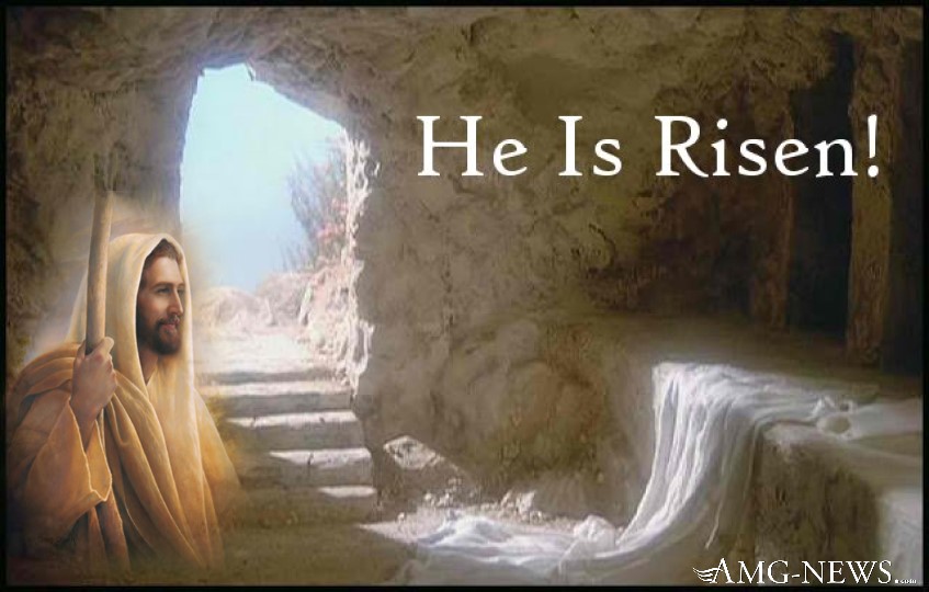   메디아 그리어의 글, AMG-NEWS   