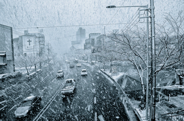  비오는 날의 풍경